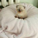 Дмитрий Мельничук