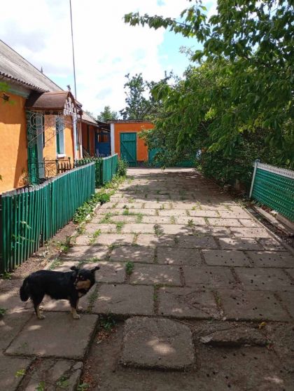 Продается дом в с. Владимировка Слободзейского района
