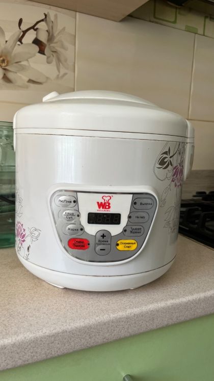 Мультиварка Wellberg WB-100, 5 л