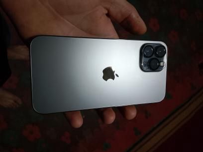 +37377503089