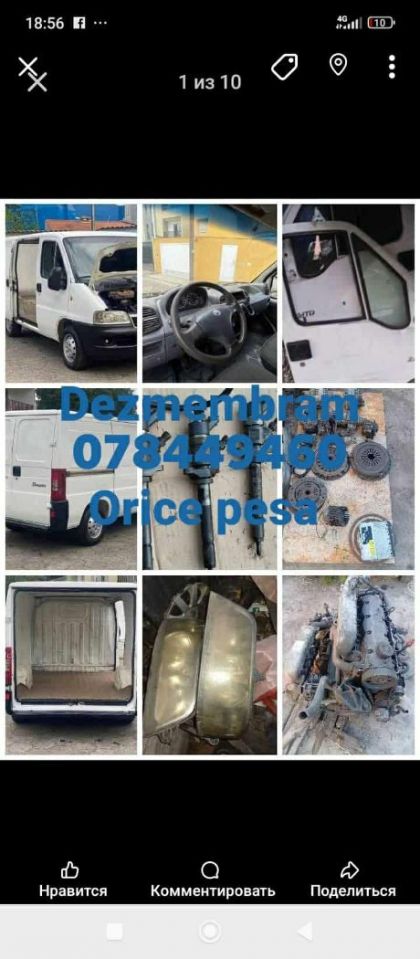 Fiat Renault Citroen Peugeot