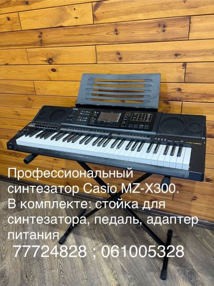 Casio MZ -X 300