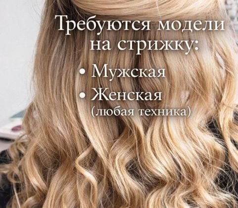 Требуются модели