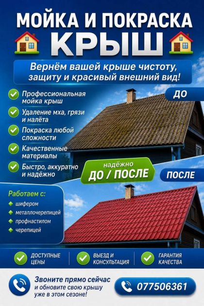Промывка и покраска вашей крыши